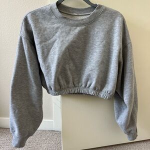 ALO Gray Cropped Sweatshirt
